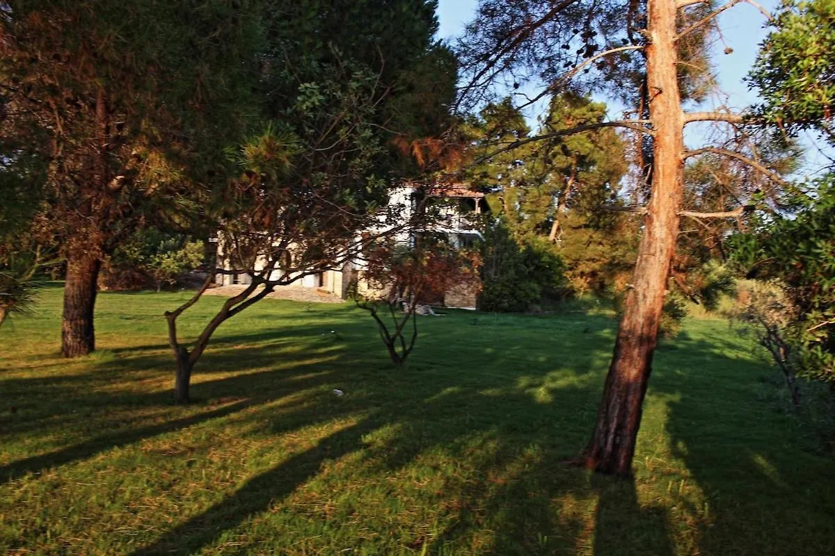 Holiday home Villa King Filippos By The Sea Nikiti  Greece