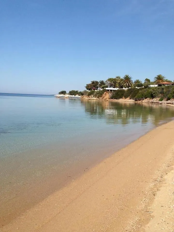 Villa King Filippos By The Sea Nikiti  0*, Nikiti (Sithonia)